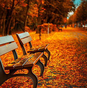 在线DDOS攻击平台