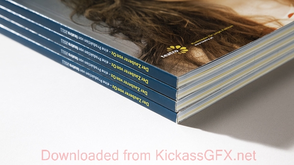 在线DDOS平台攻击